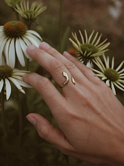 Rebirth Ring